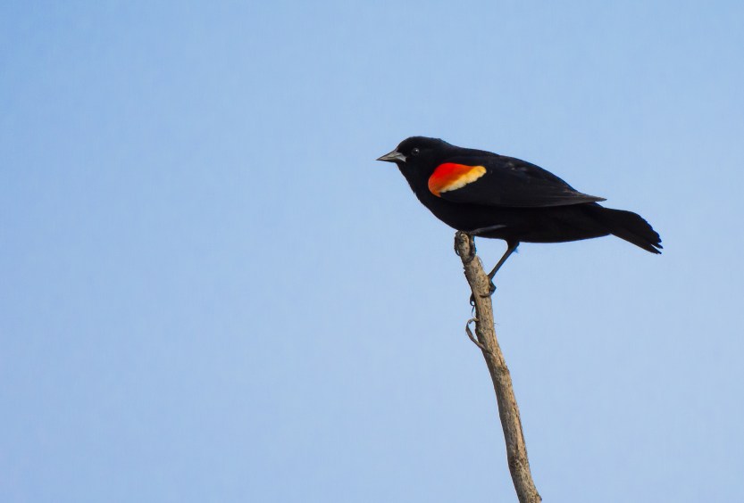 20170429-170429untitled001