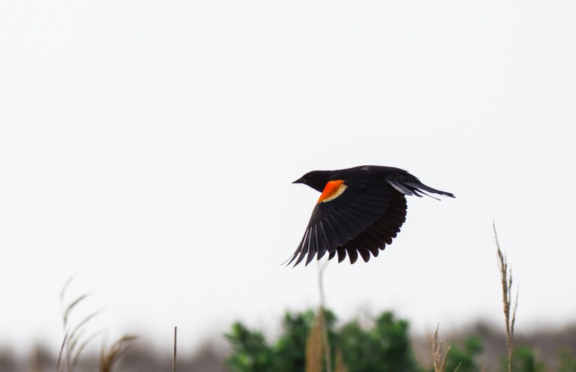 20170429-170429untitled003