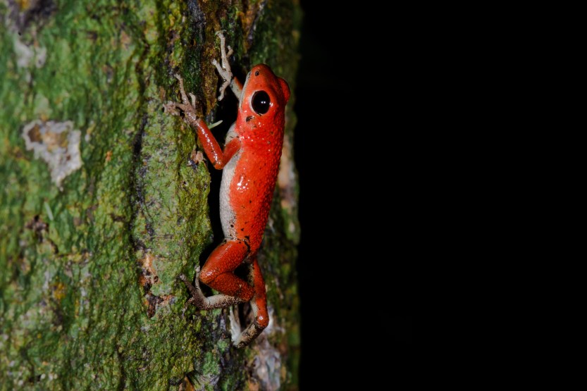 20171128-untitled (16 of 28)