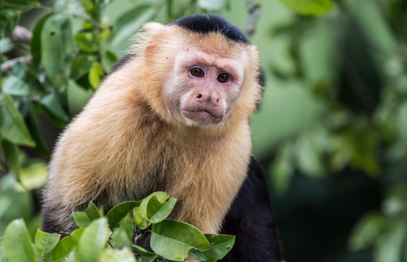 20171202-untitled (12 of 100)