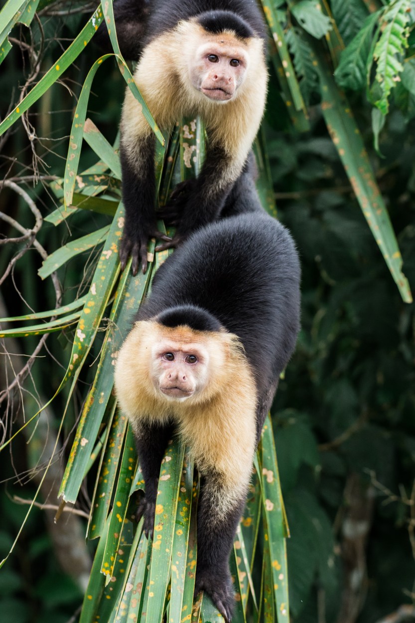 20171202-untitled (67 of 100)