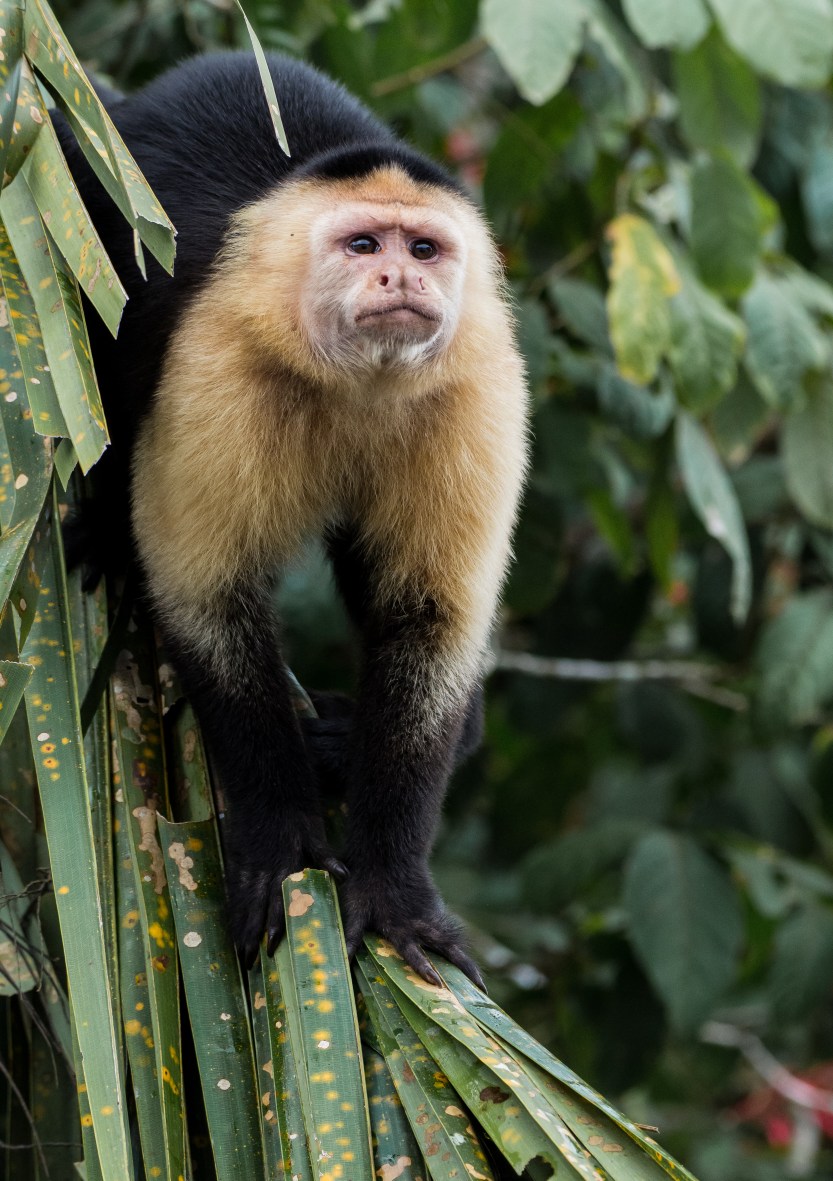 20171202-untitled (87 of 100)