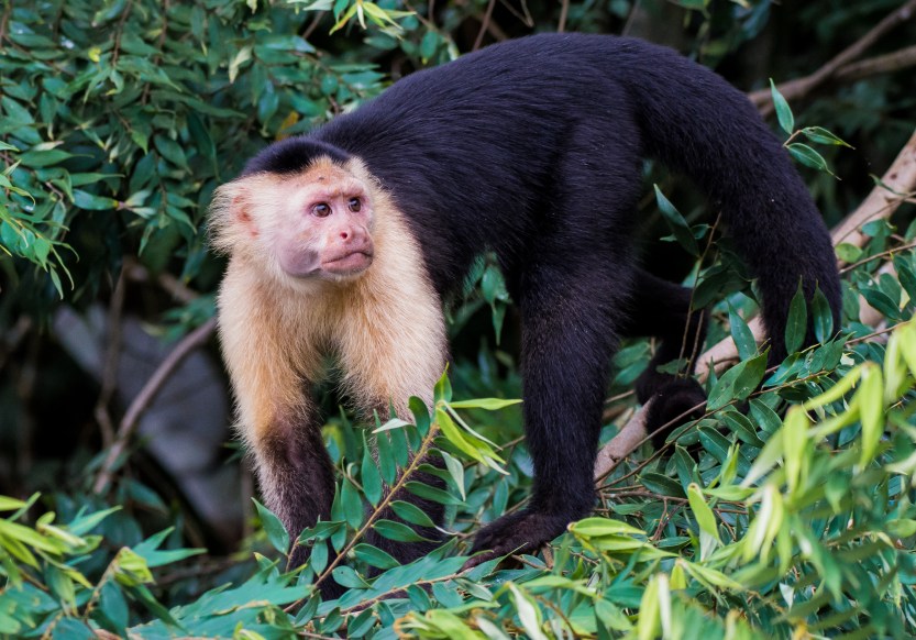 20171202-untitled (96 of 100)