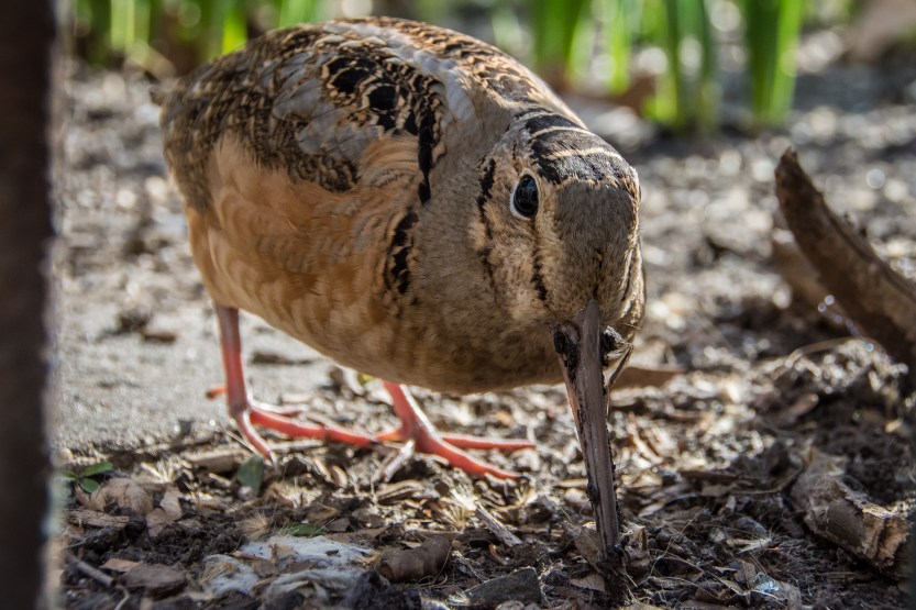 untitled (127 of 128)