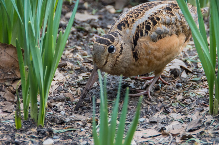 untitled (193 of 518)