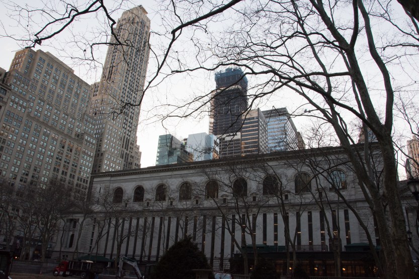 untitled (219 of 518)