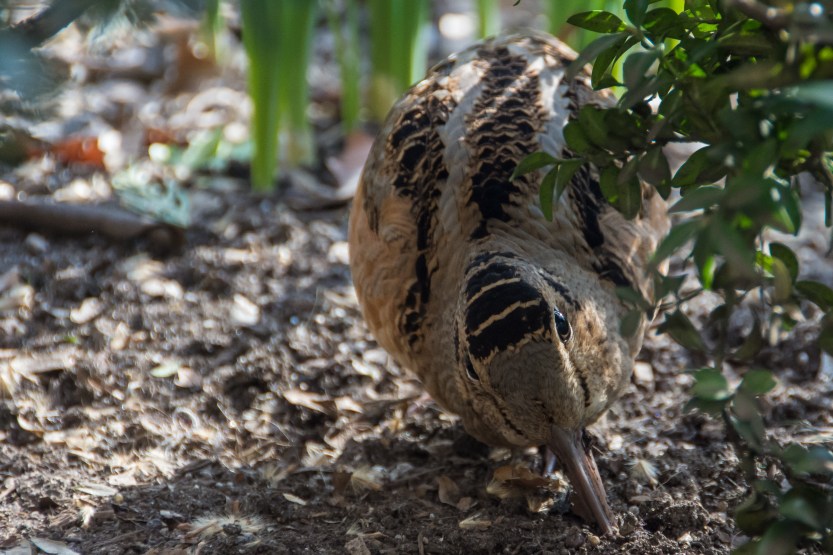 untitled (23 of 128)