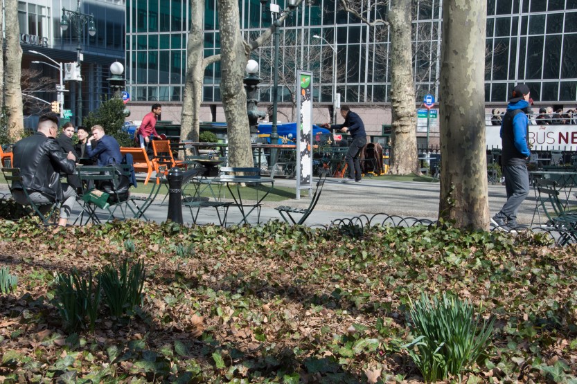 untitled (253 of 518)