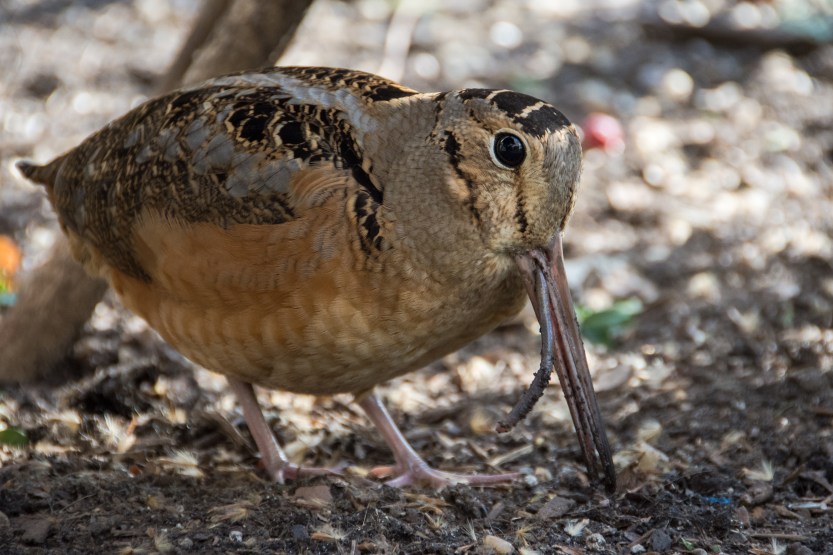 untitled (62 of 128)
