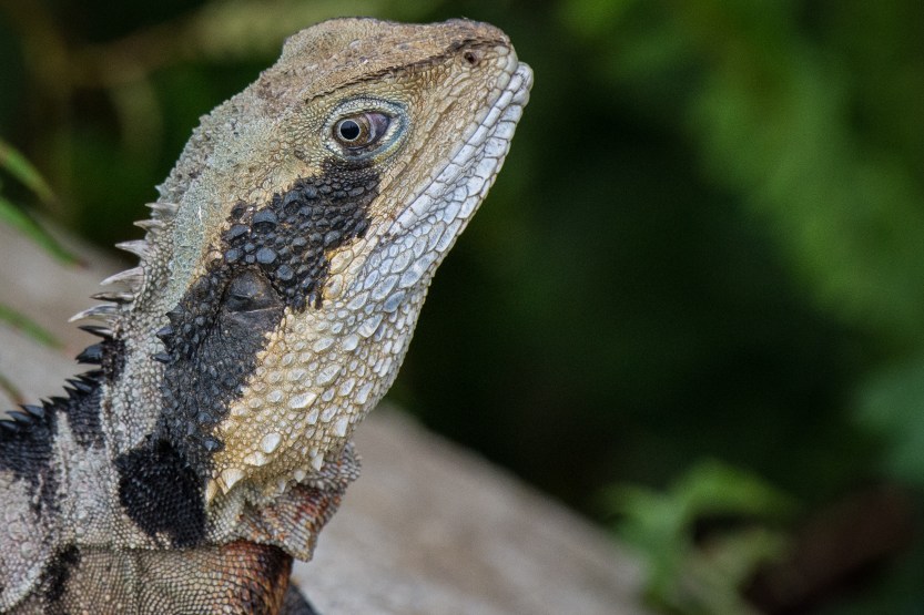 untitled (18 of 518)