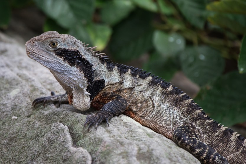 untitled (76 of 518)