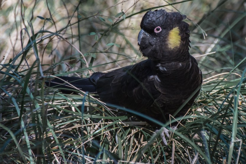 untitled (261 of 467)