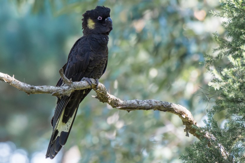 untitled (281 of 467)