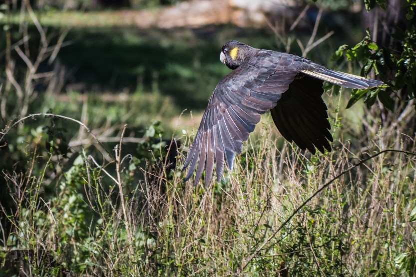 untitled (308 of 467)