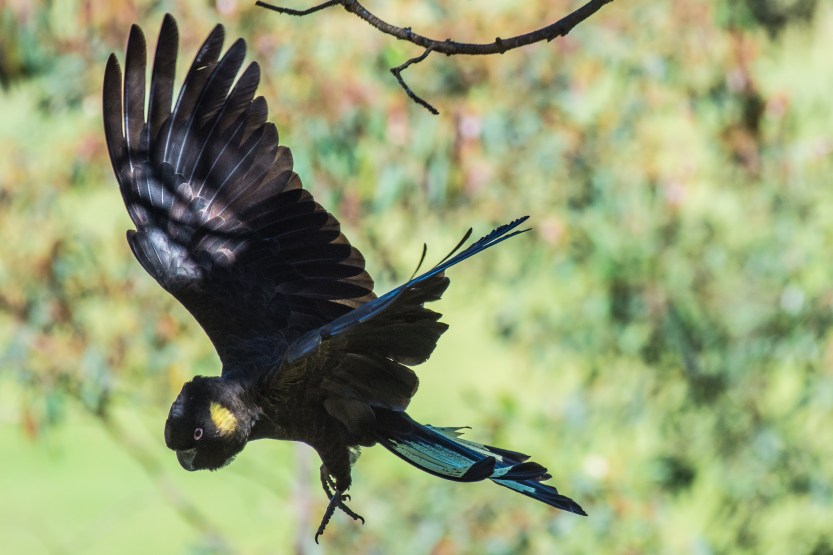 untitled (337 of 467)