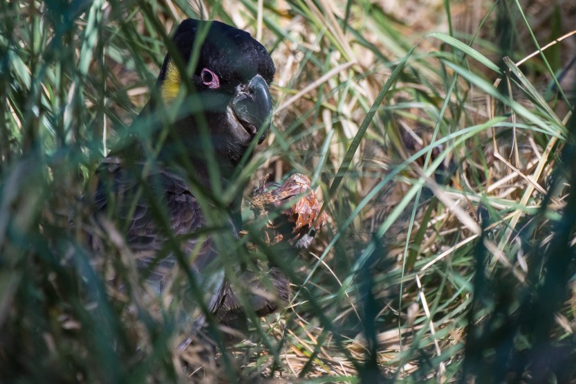 untitled (352 of 467)