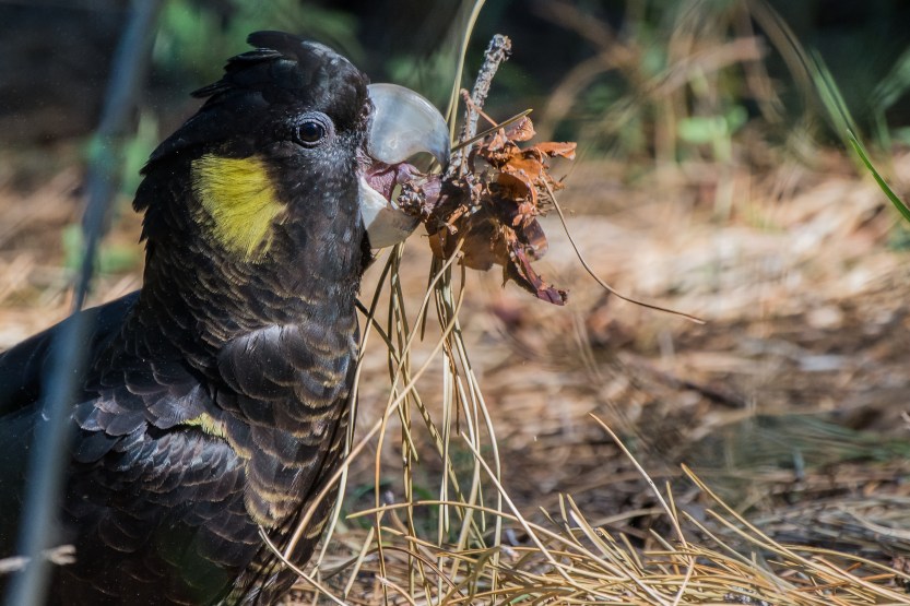 untitled (362 of 467)