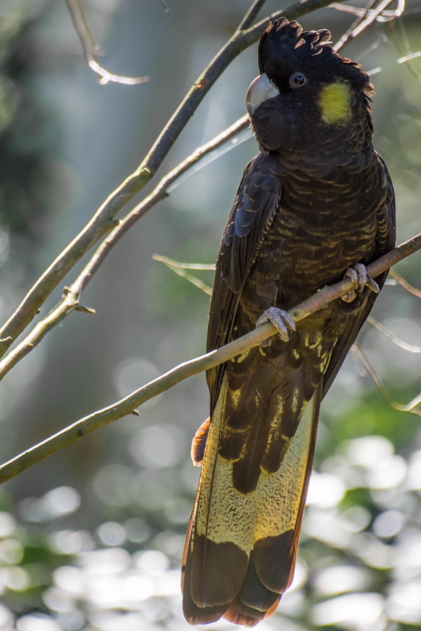 untitled (405 of 467)