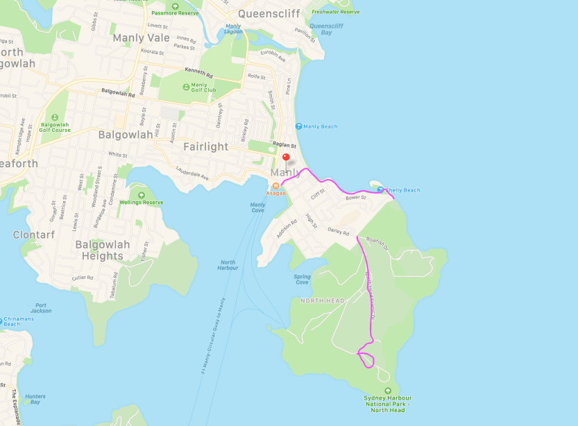 Screen Shot 2020-02-08 at 1.05.22 PM