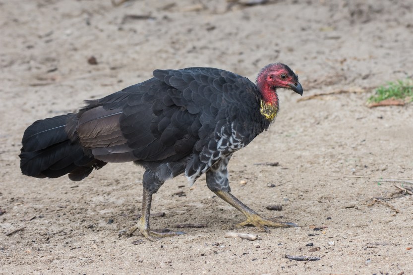 untitled (325 of 368)