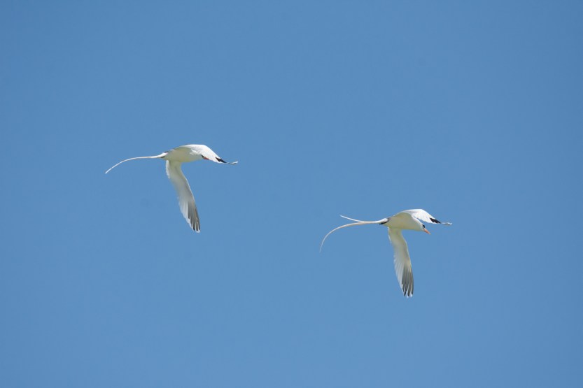 untitled (119 of 164)