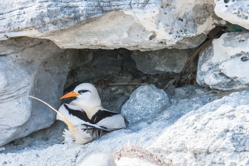 untitled (161 of 164)