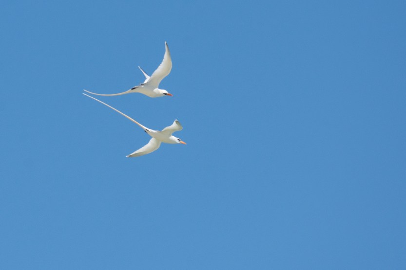 untitled (94 of 164)